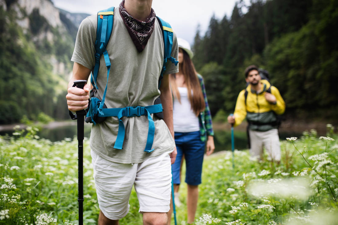 Trekking, camping, hiking and wild life concept. Group of friends are hiking in nature